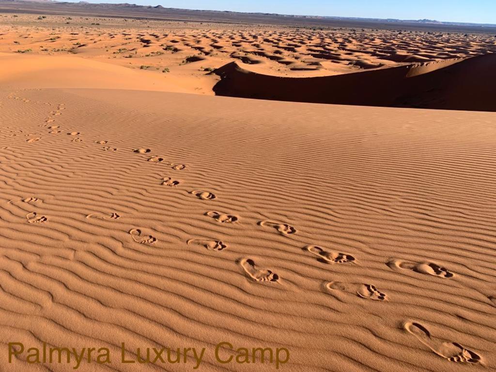 Palmyra Luxury Camp Hotel Мерцуга Екстериор снимка