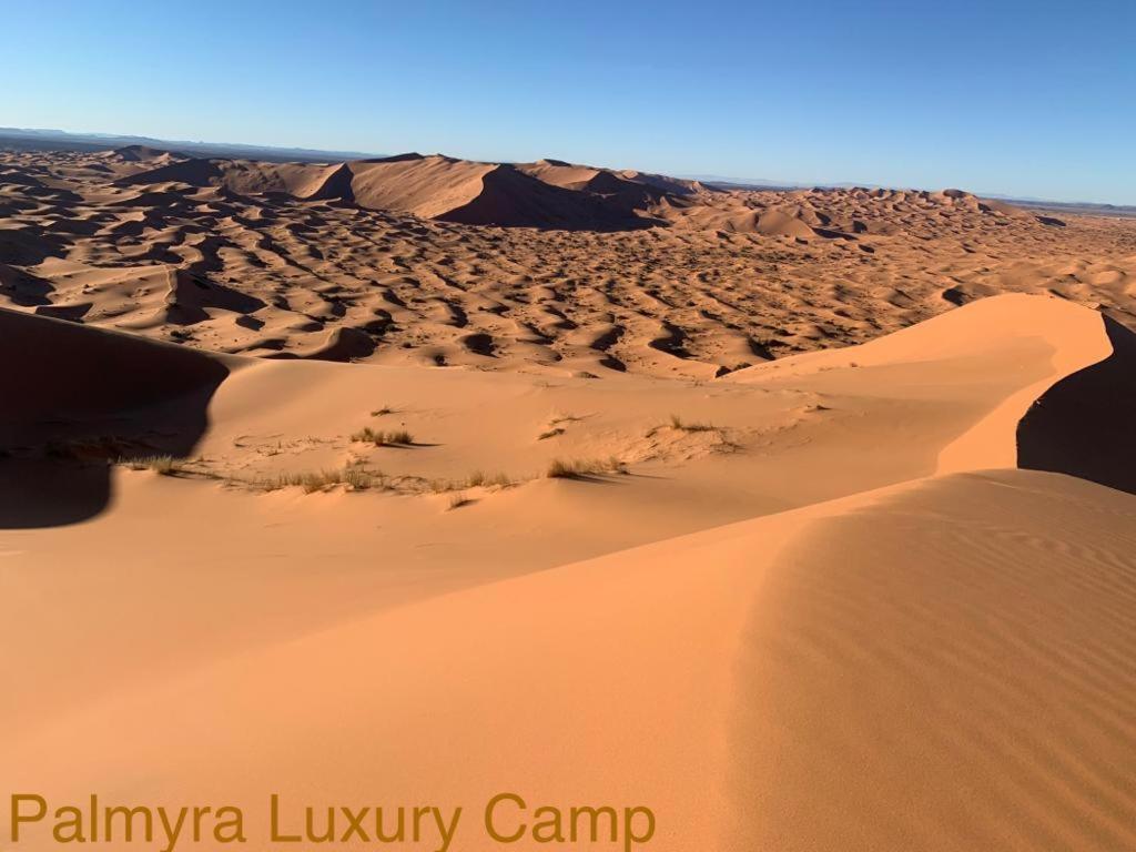 Palmyra Luxury Camp Hotel Мерцуга Екстериор снимка